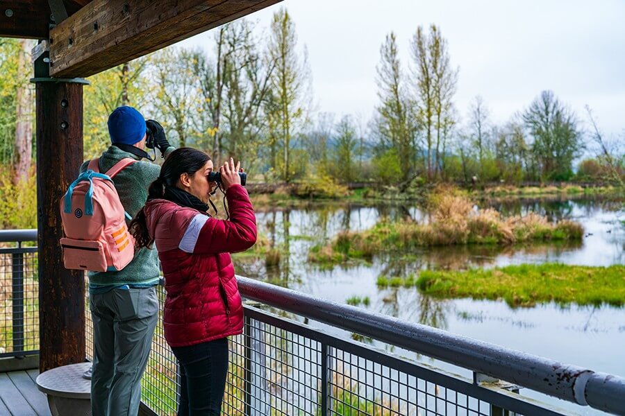 Nisqually Wildlife Refuge